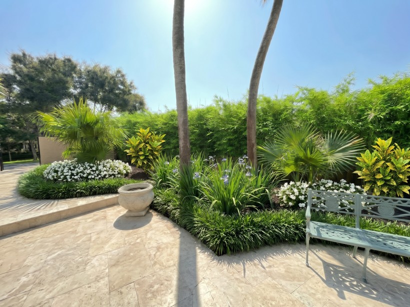 Refreshed courtyard garden bed with white flowers, crotons, palms and a bench