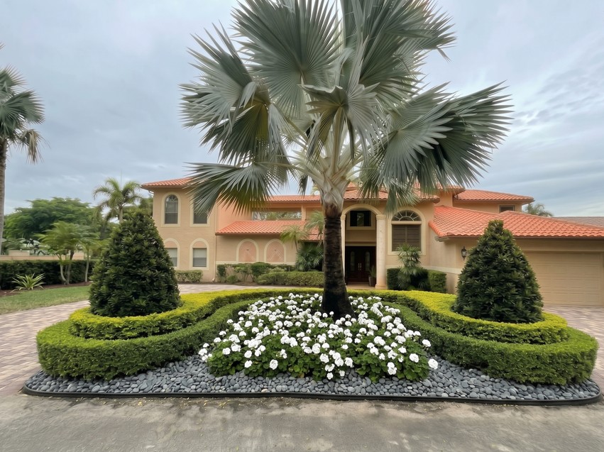 Redesigned front entry island with Bismarck palm, scrolled hedges, white flowers, cone topiaries and river rock
