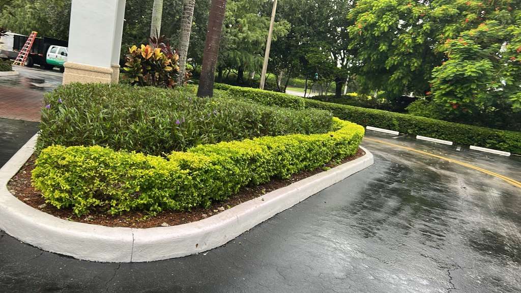 Manicured hedges and planting beds at a commercial property entrance