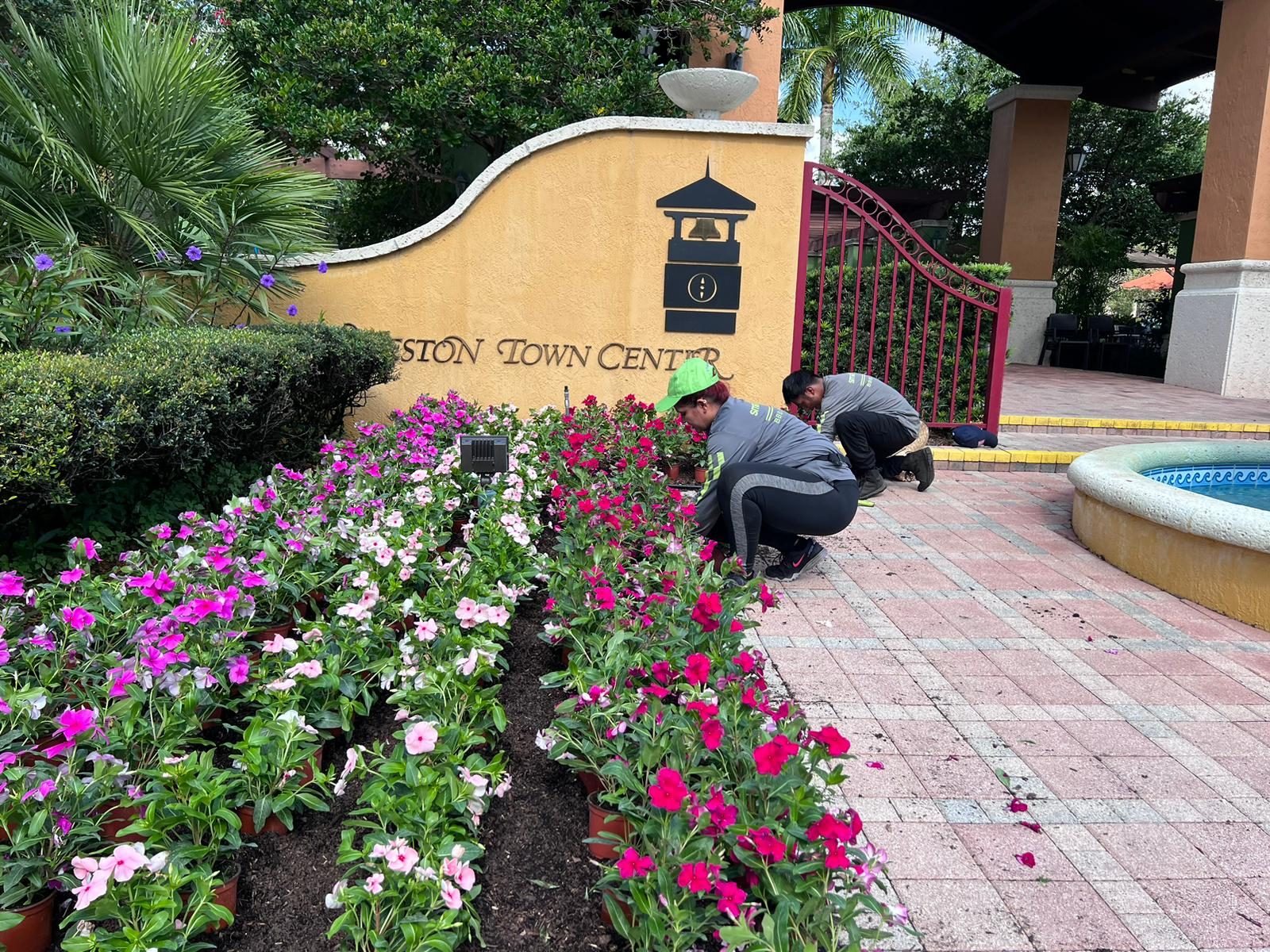 Smart Choice crew planting seasonal annual color at a commercial property entrance in Weston